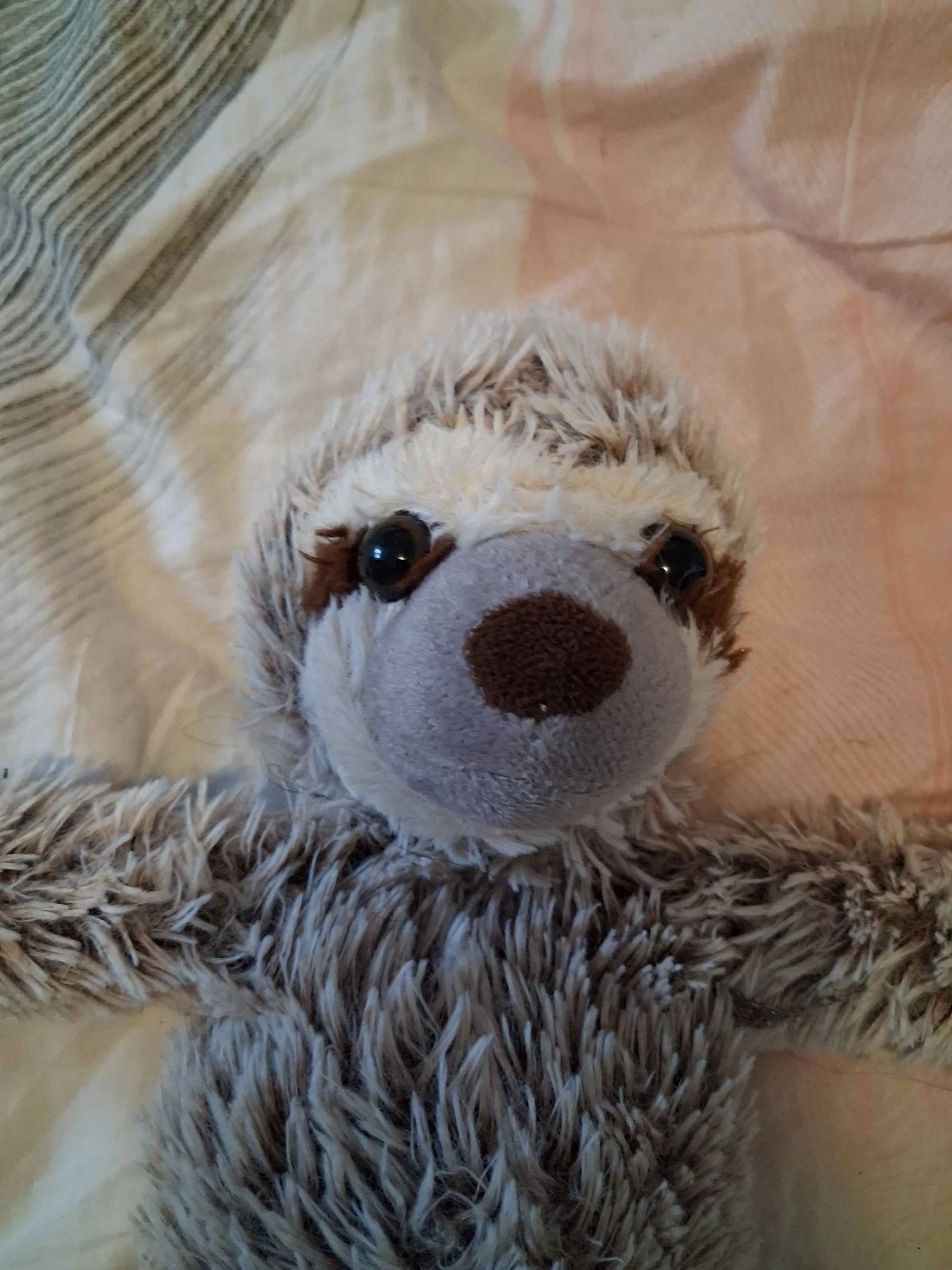 Peluche perezoso – photo 2